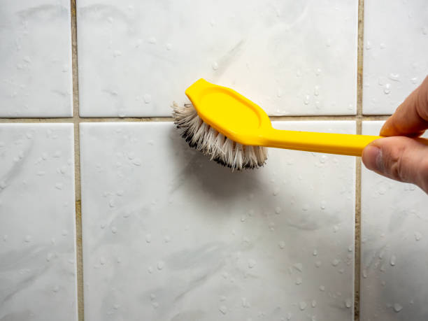 Best Local Mold Removal Service  in Sublette, KS
