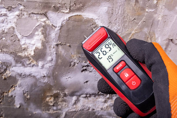 Best Commercial Mold Removal  in Sublette, KS
