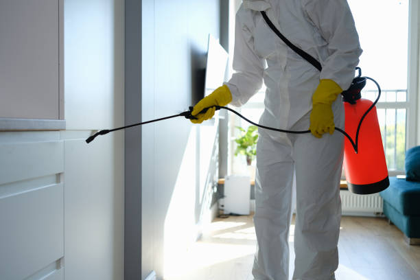 Best Best Mold Removal Companies  in Sublette, KS