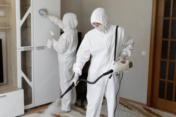 Mold Testing and Removal in Sublette, KS