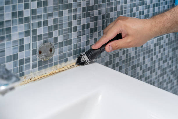 Best Mold Cleaning Services  in Sublette, KS