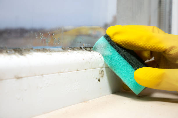 Best Emergency Mold Removal  in Sublette, KS