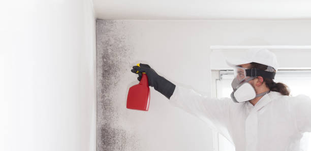 Best Residential Mold Removal  in Sublette, KS