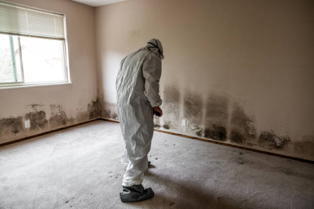 Best Water Damage Restoration  in Sublette, KS