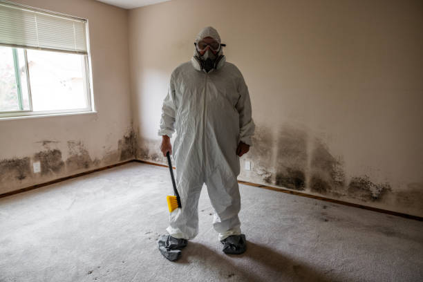 Best Crawl Space Mold Removal  in Sublette, KS