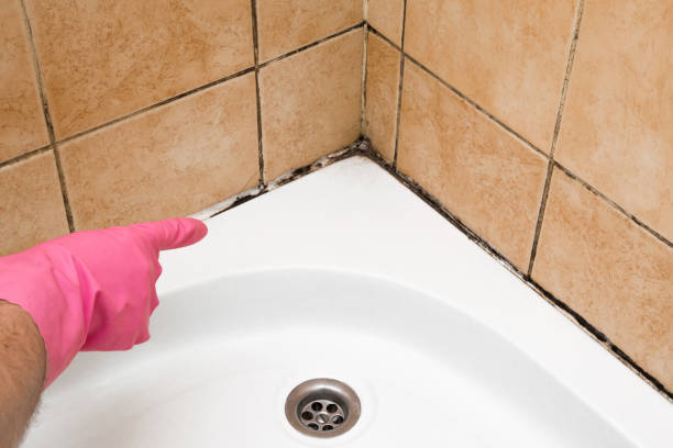 Best Mold Testing and Removal  in Sublette, KS
